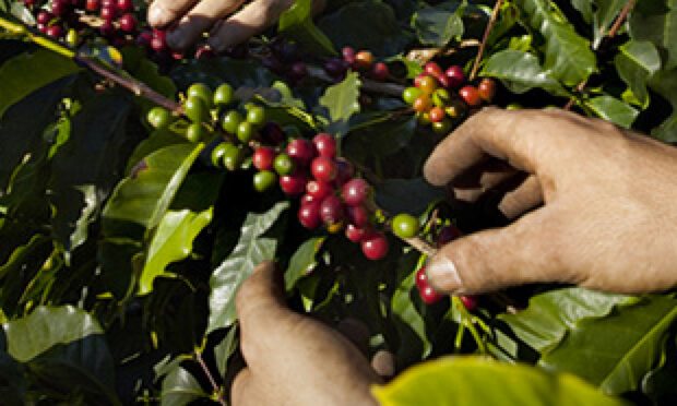 製品のための研究